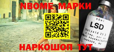 гашик Можга