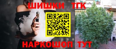 гашик Можга