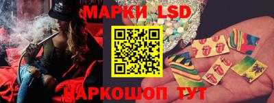 гашик Можга
