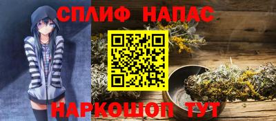 прущие грибы Моздок