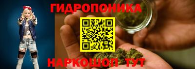 прущие грибы Моздок