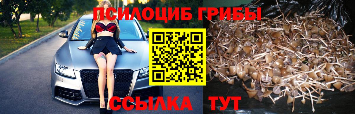Галлюциногенные грибы прущие грибы Ханты-Мансийск